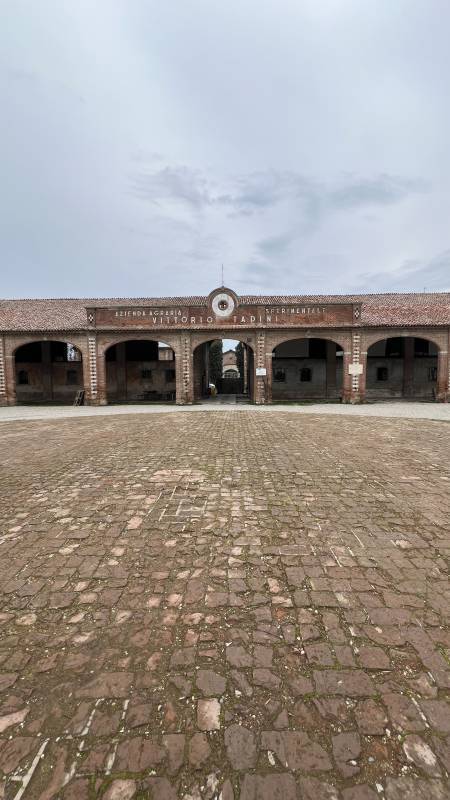 Ostreria Fratelli Pavesi