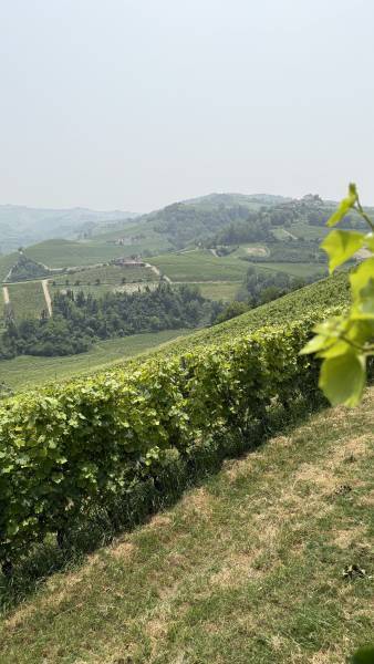 La terrazza da Renza