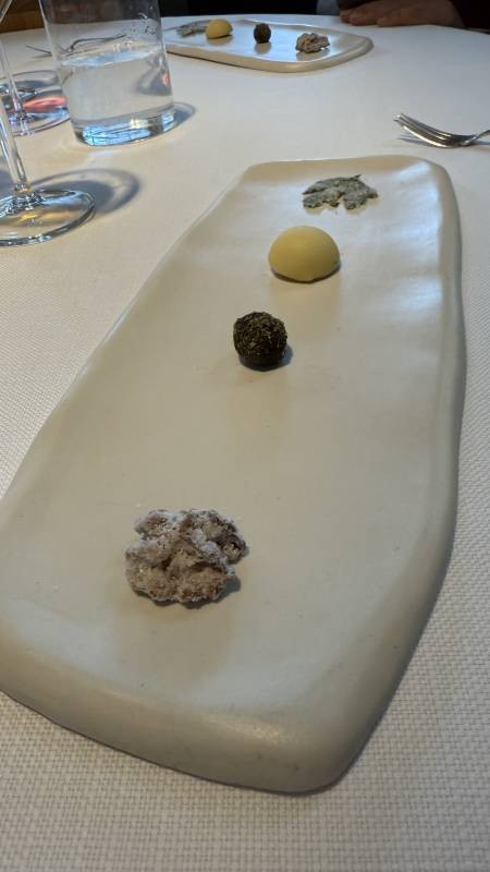 Rapiti dalla cucina di Antonia Klugmann.